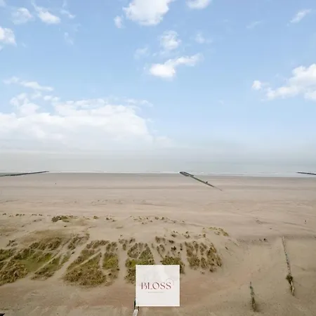 Mare By Bloss, Frontal Sea View In * Nieuport