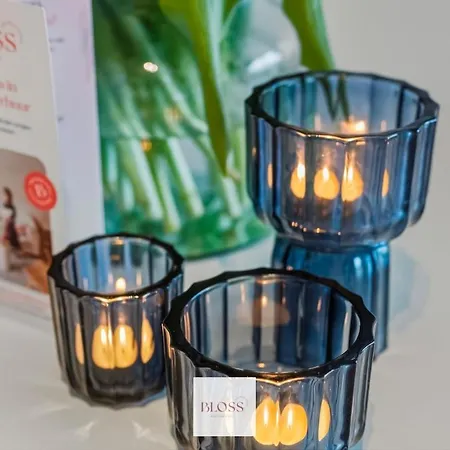 Mare By Bloss, Frontal Sea View In * Nieuport